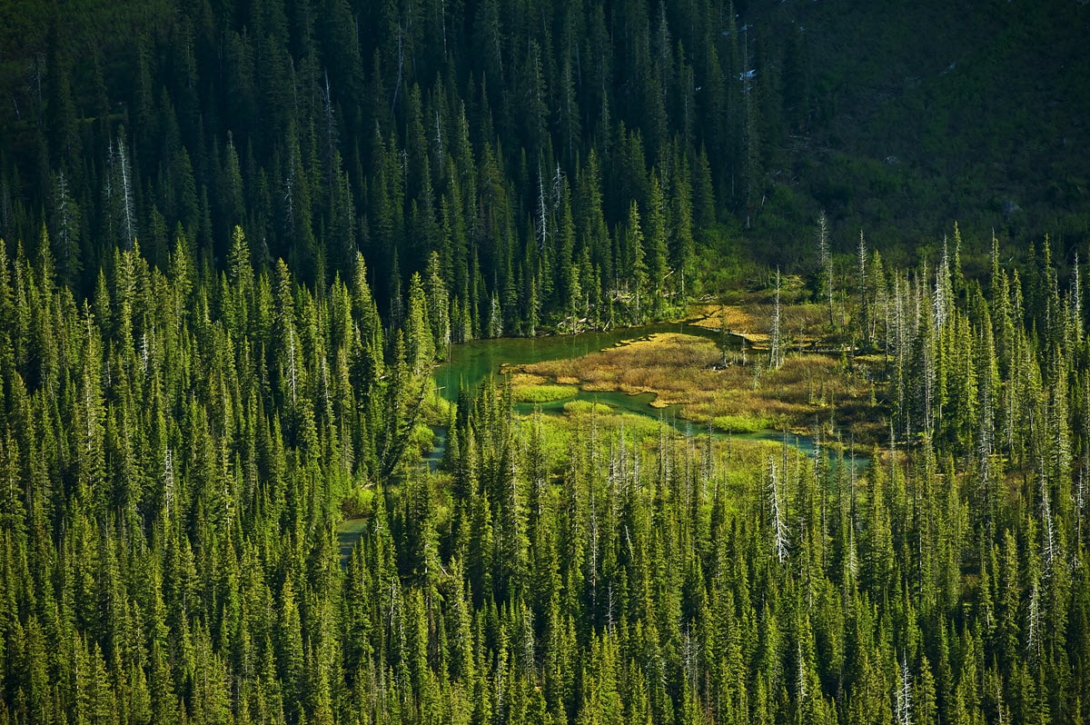 what-is-montana-known-for-16-things-it-s-famous-for