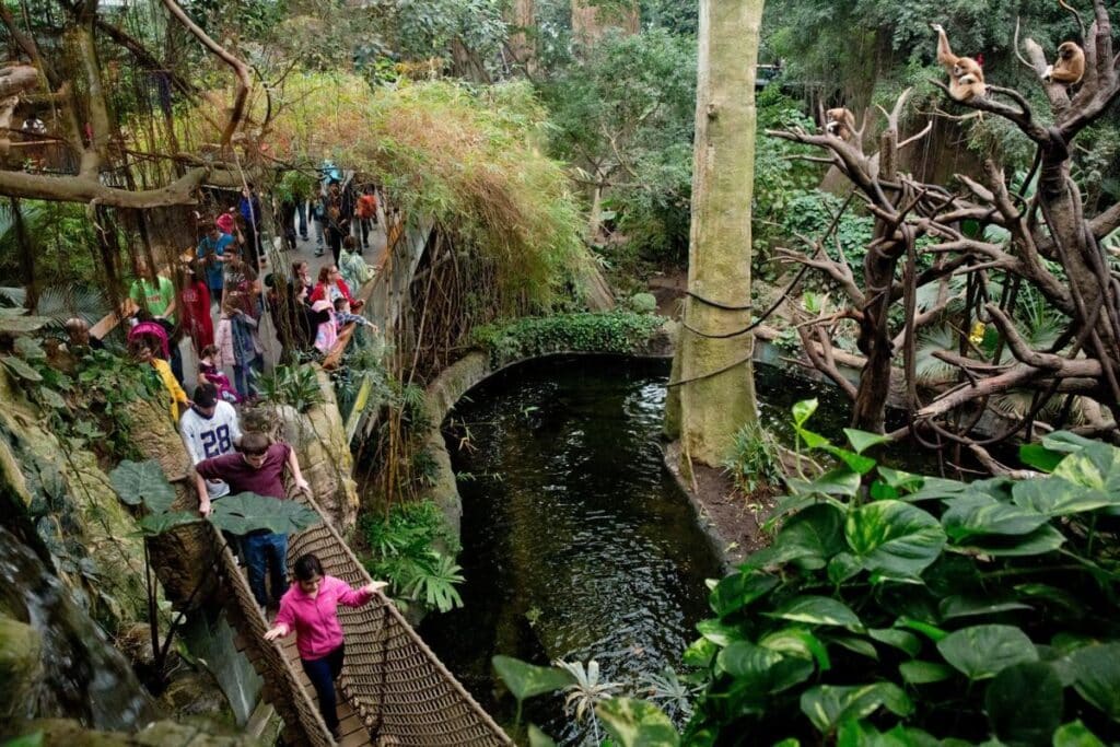 The Largest US Indoor Rainforest 1024x683 