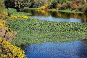 Awesome Attractions & Things To Do In Modesto