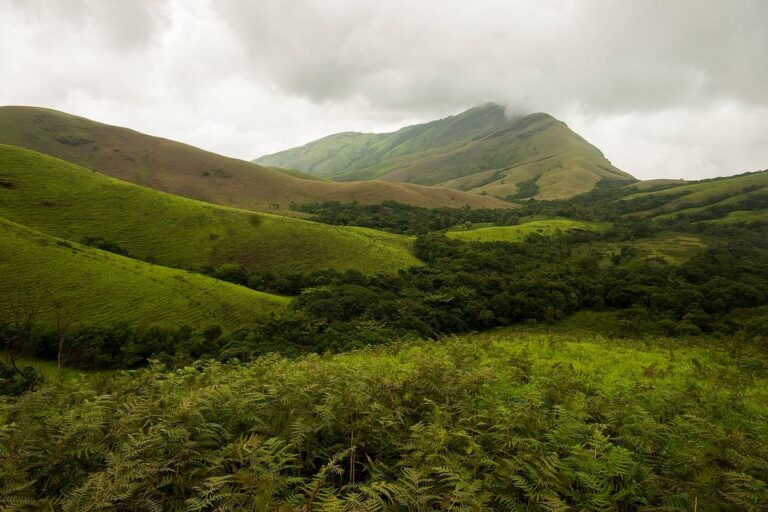 What is Ivory Coast Known For? (15 Things It's Famous For)